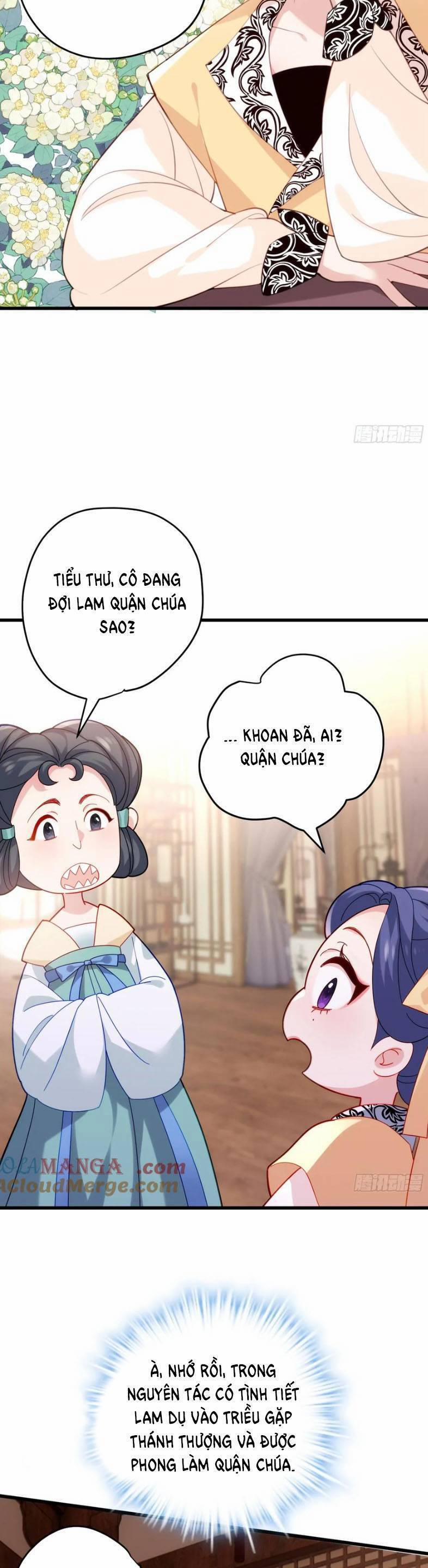 Pháo Hôi Cô Ấy Không Ưa Kịch Bản Này Lâu Rồi 95 trang 16