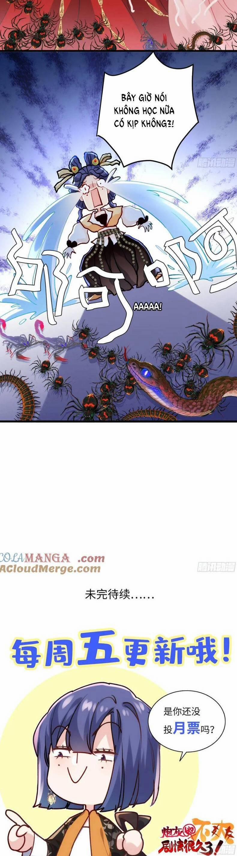 Pháo Hôi Cô Ấy Không Ưa Kịch Bản Này Lâu Rồi 95 trang 27