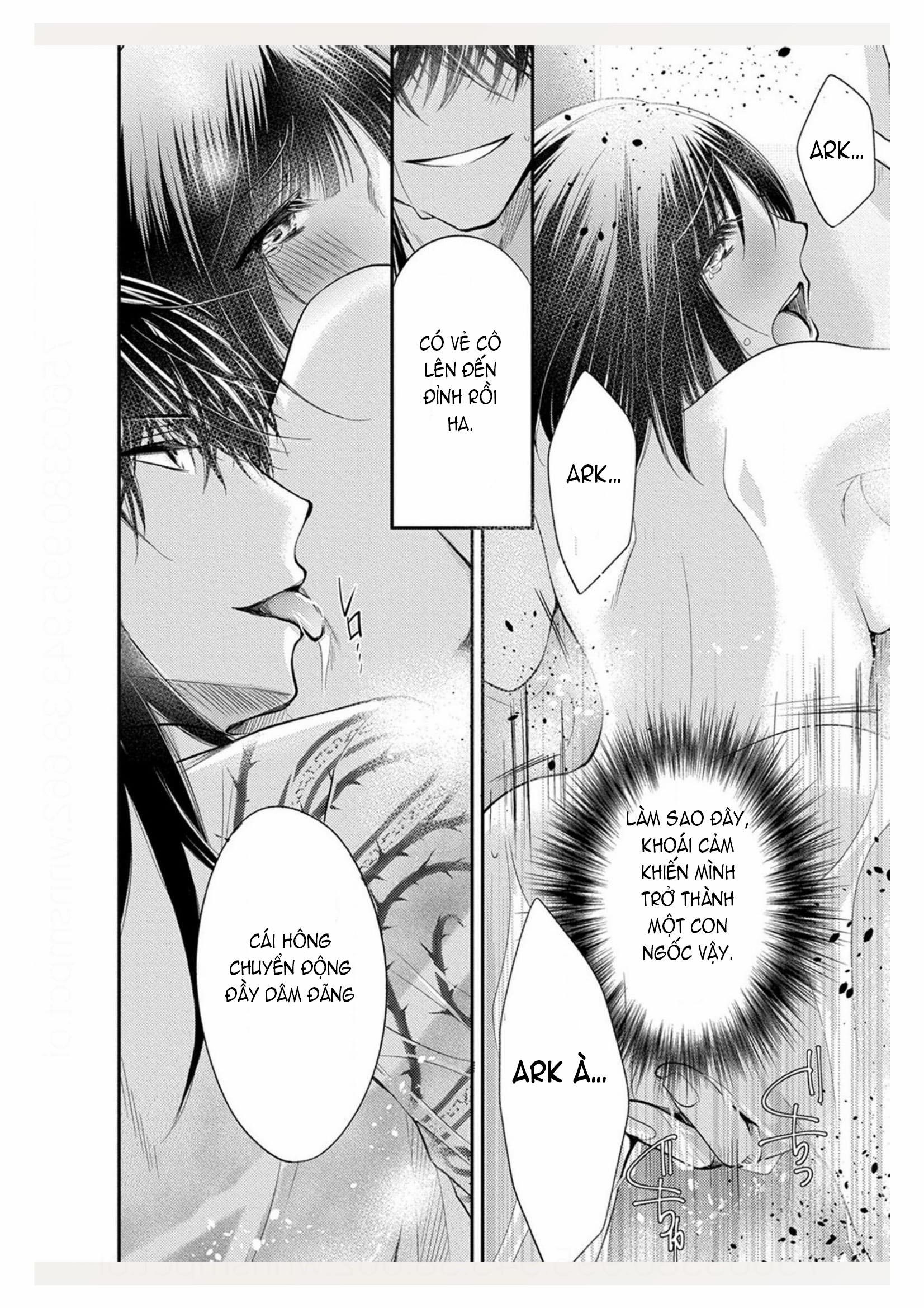 Pháp Sư Bạo Dâm Vô Song Và Bản Hợp Đồng Độc Quyền Của Tôi 18.1 trang 10