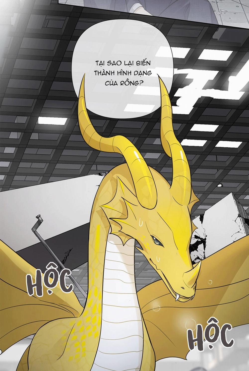 Phát Tài Nào! Hỡi Quý Ngài Ác Long 12 trang 5