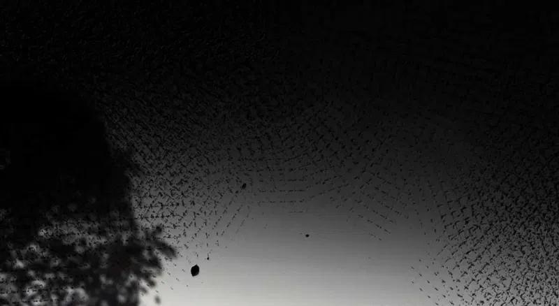 Phệ Chủ 23 trang 2