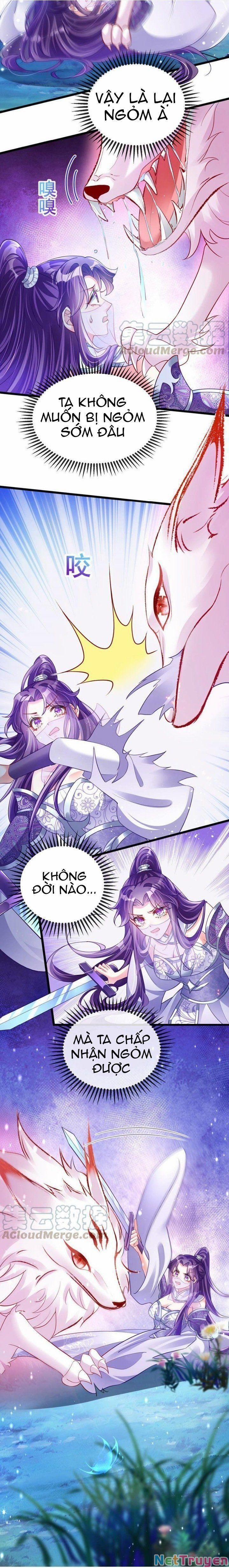 Phế Sài Tiểu Thư Muốn Nghịch Thiên Cải Mệnh 24 trang 12