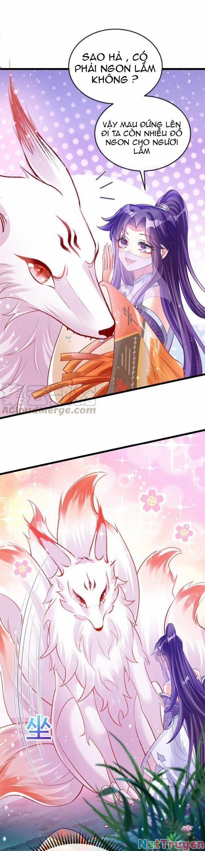 Phế Sài Tiểu Thư Muốn Nghịch Thiên Cải Mệnh 24 trang 15