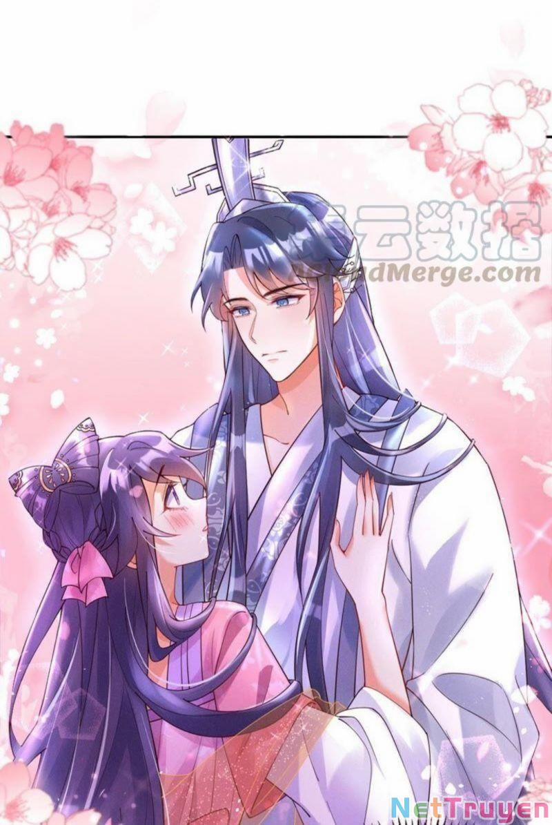 Phế Sài Tiểu Thư Muốn Nghịch Thiên Cải Mệnh 4 trang 0