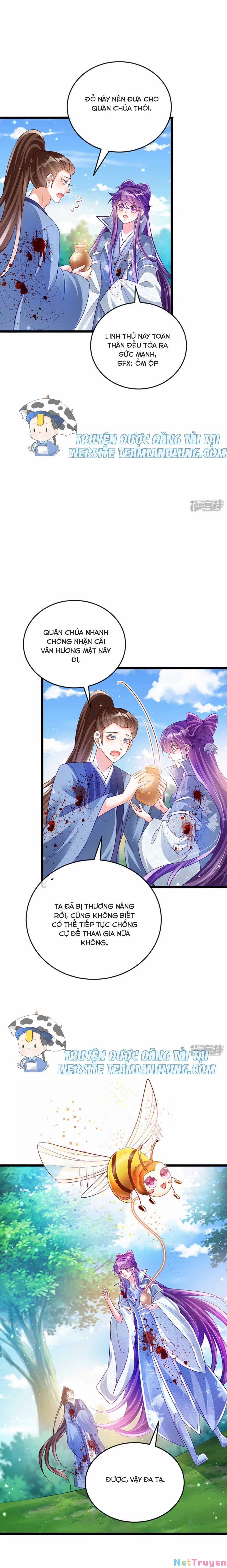 Phế Sài Tiểu Thư Muốn Nghịch Thiên Cải Mệnh 62 trang 11