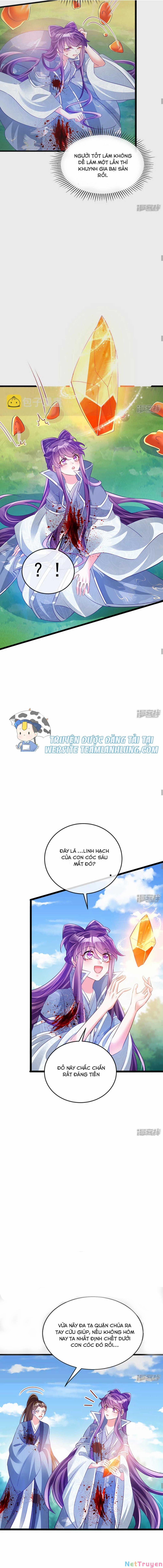 Phế Sài Tiểu Thư Muốn Nghịch Thiên Cải Mệnh 62 trang 8