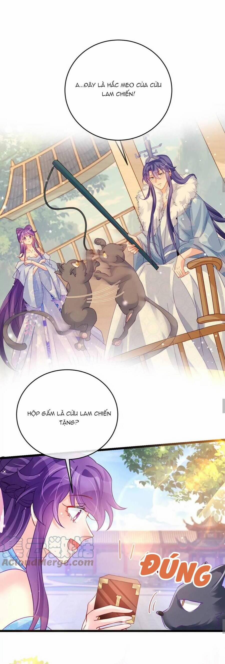 Phế Sài Tiểu Thư Muốn Nghịch Thiên Cải Mệnh 87 trang 14