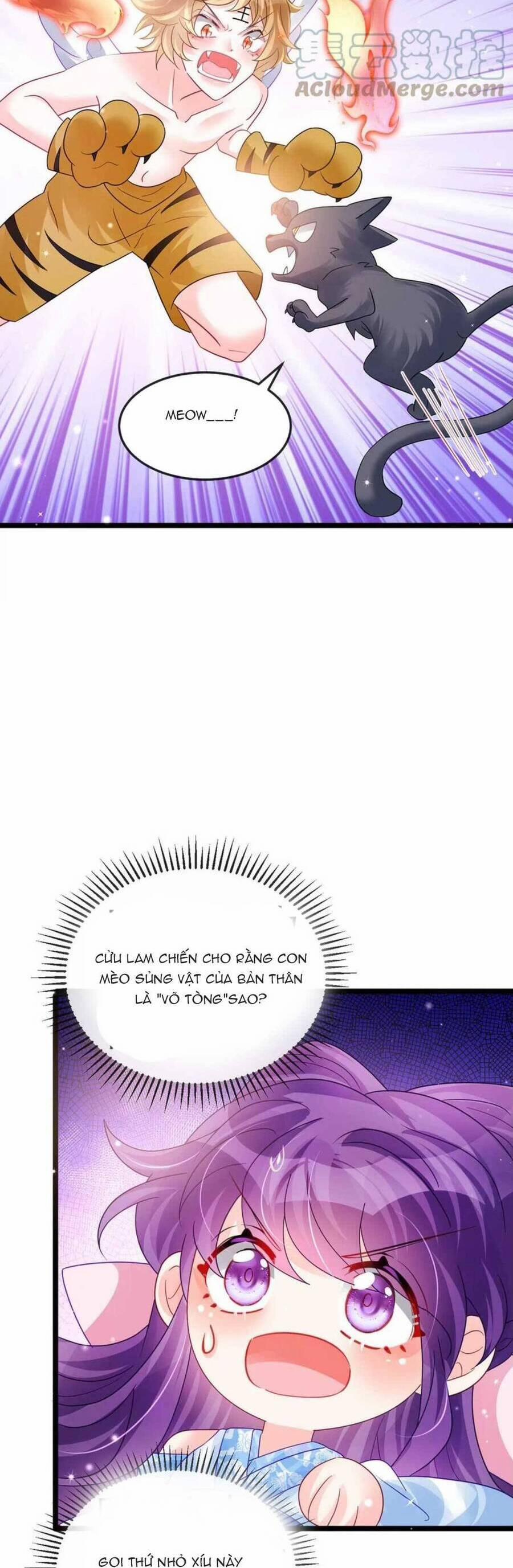 Phế Sài Tiểu Thư Muốn Nghịch Thiên Cải Mệnh 92 trang 13