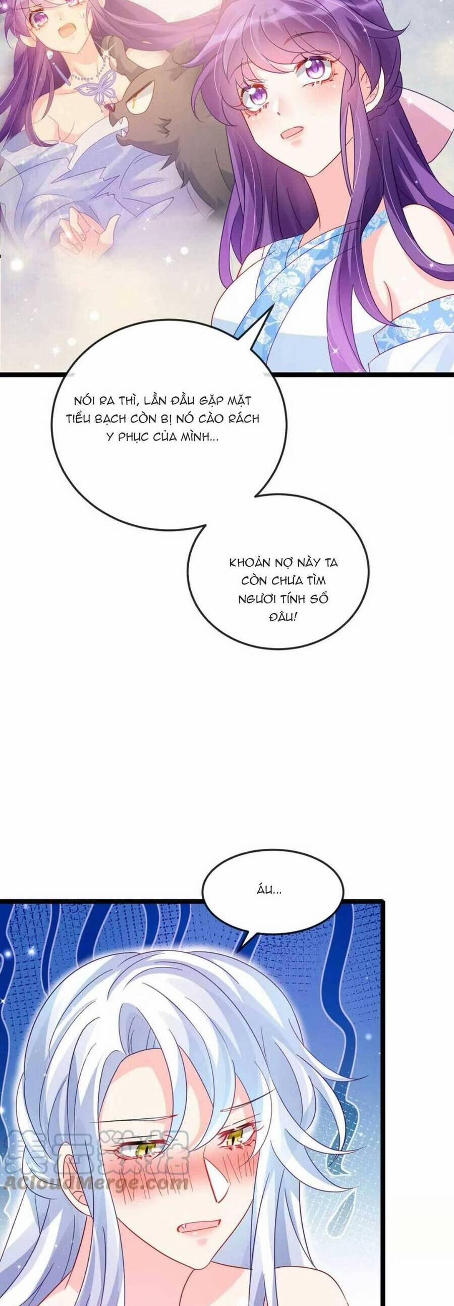 Phế Sài Tiểu Thư Muốn Nghịch Thiên Cải Mệnh 92 trang 24