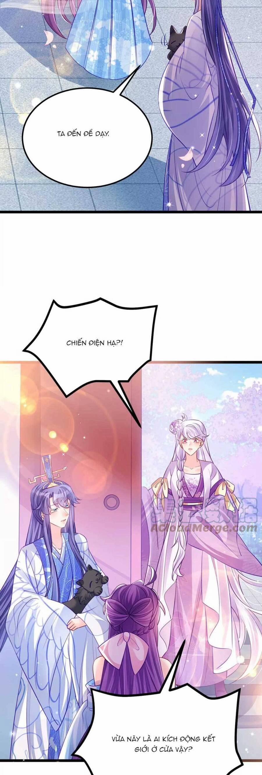 Phế Sài Tiểu Thư Muốn Nghịch Thiên Cải Mệnh 93 trang 13