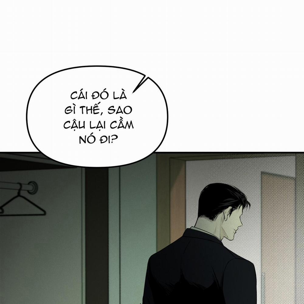 Phép Chiếu 11 trang 14