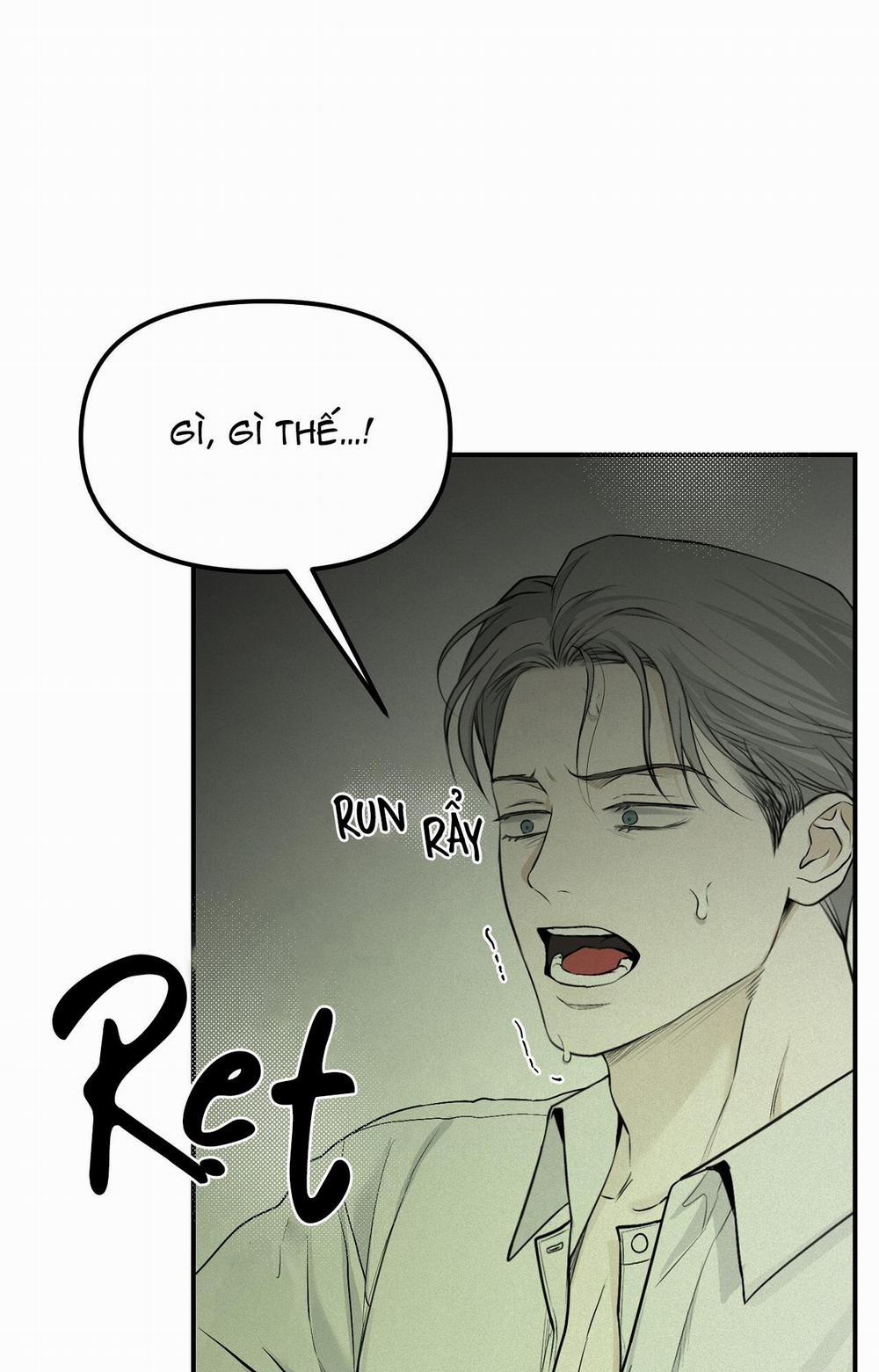 Phép Chiếu 11 trang 3