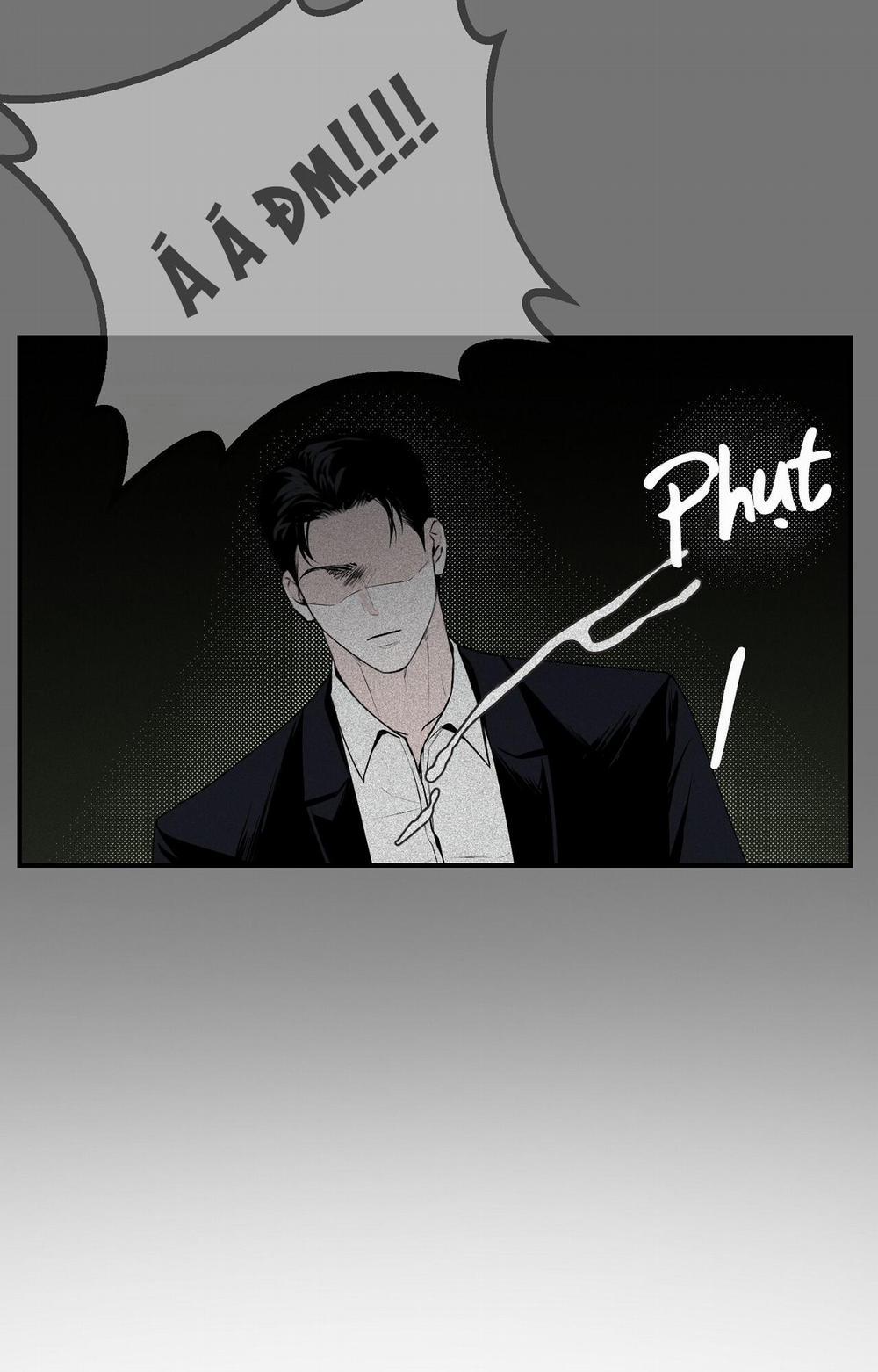 Phép Chiếu 11 trang 41