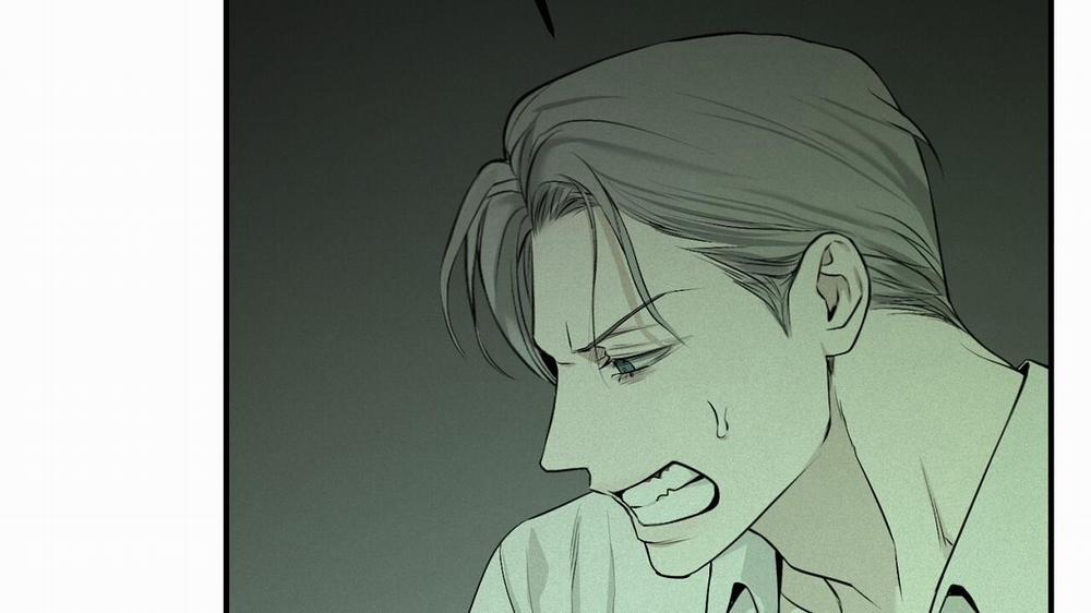 Phép Chiếu 11 trang 8