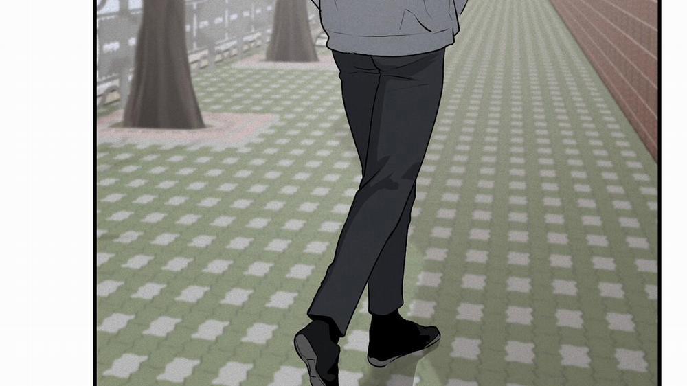 Phép Chiếu 11 trang 88