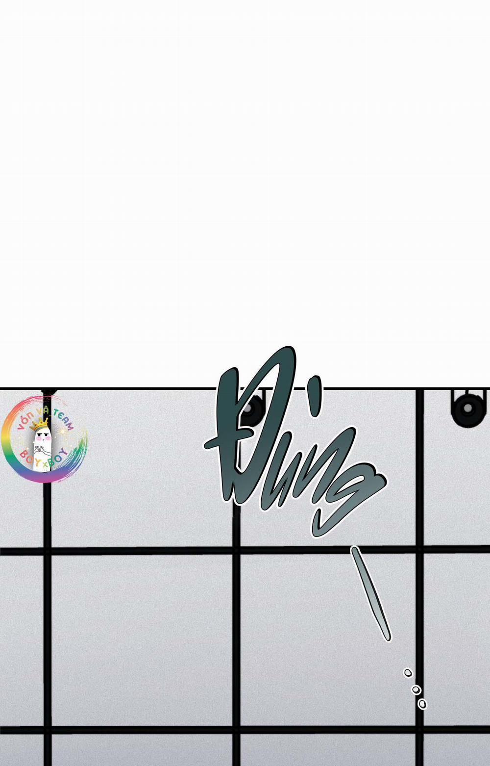 Phép Chiếu 17 trang 7