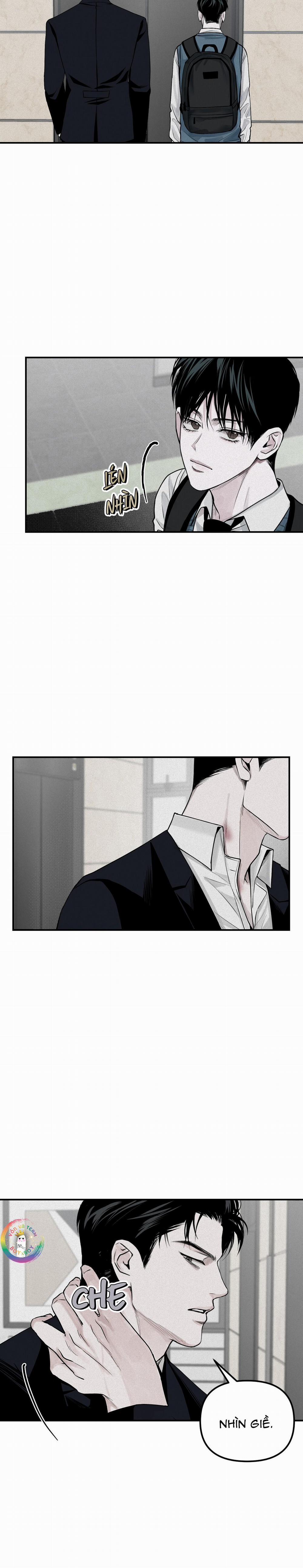 Phép Chiếu 19 trang 15