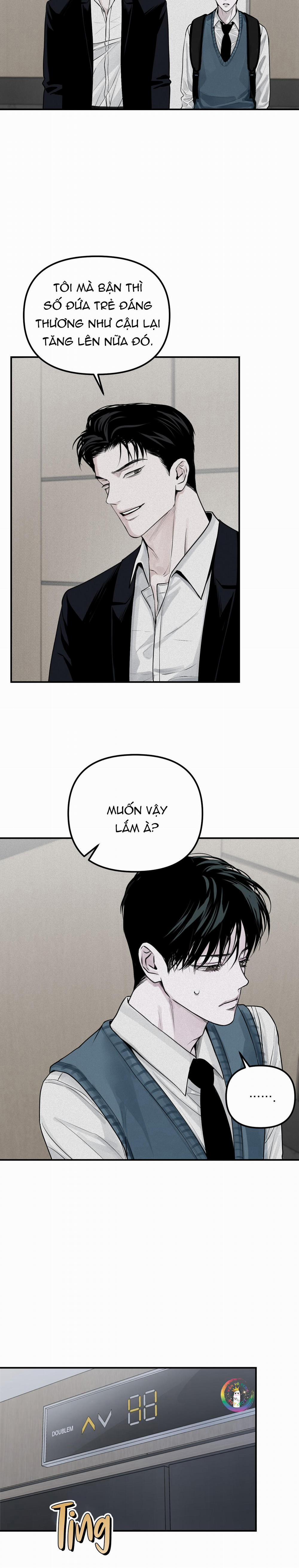 Phép Chiếu 19 trang 17