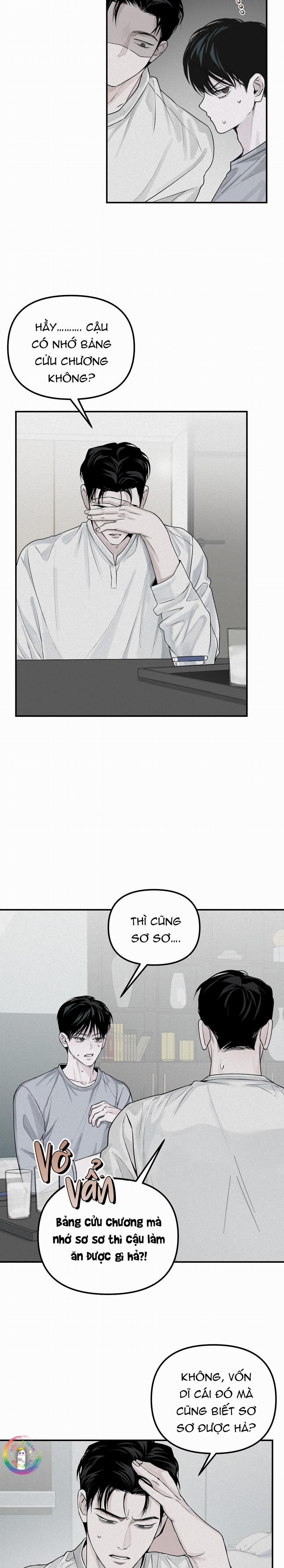 Phép Chiếu 19 trang 20