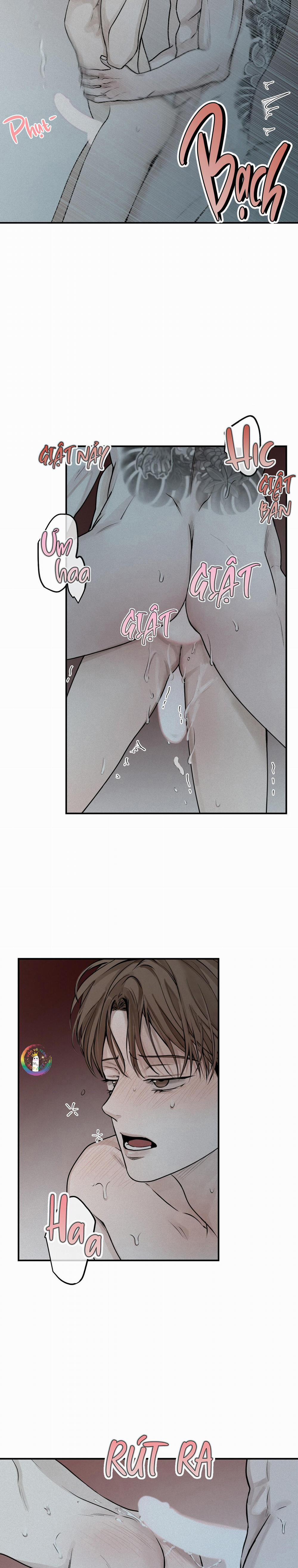 Phép Chiếu 19 trang 6