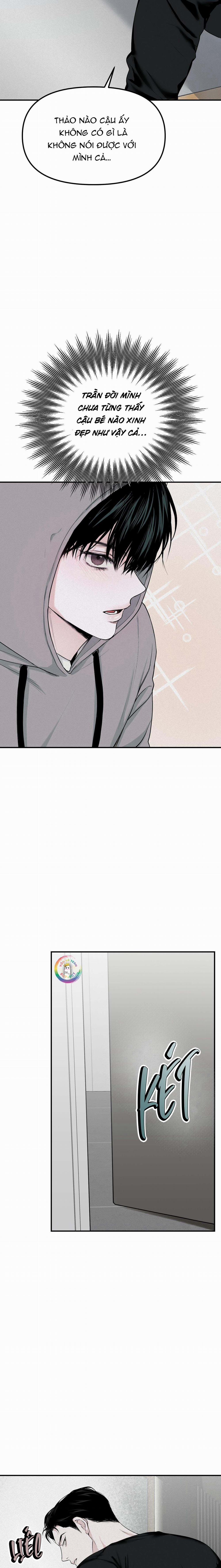 Phép Chiếu 8 trang 17