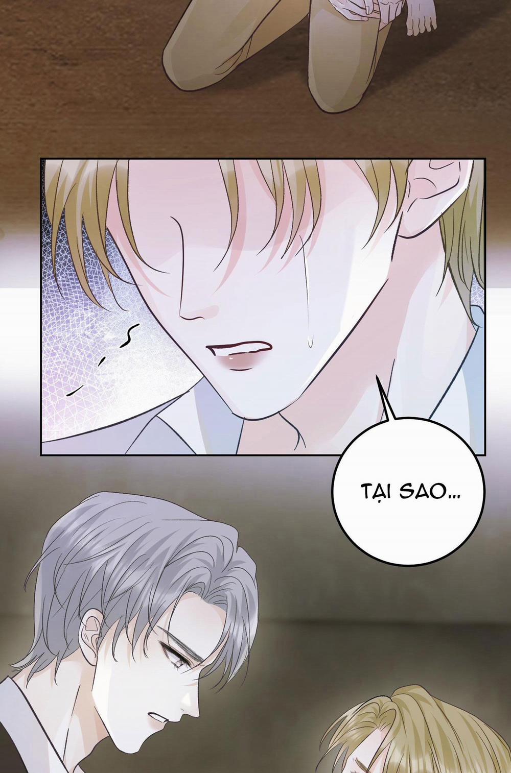 Phép Tắc Thăm Dò 31 trang 24