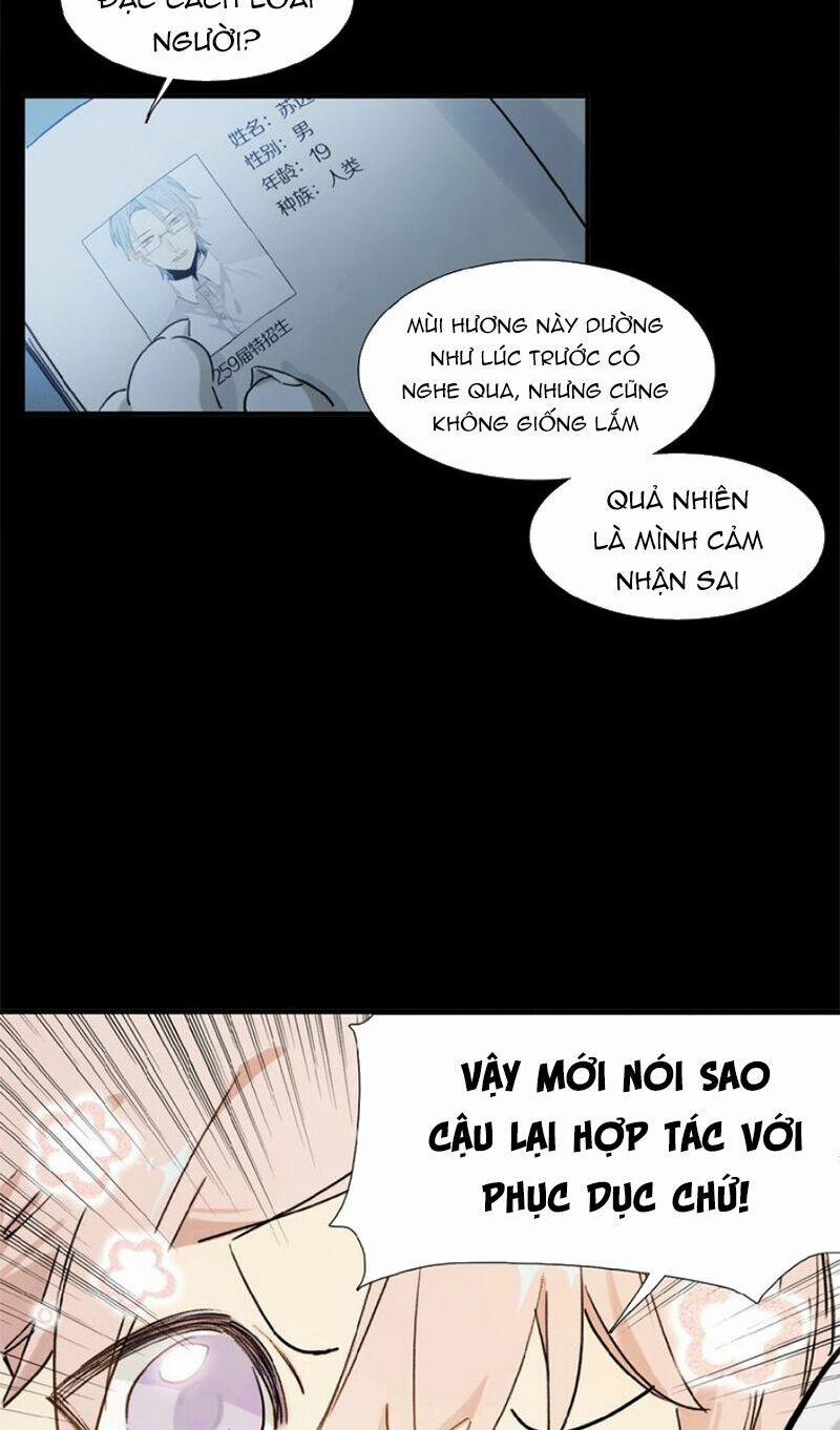 Phép Tắc Trường Ogus 11 trang 18