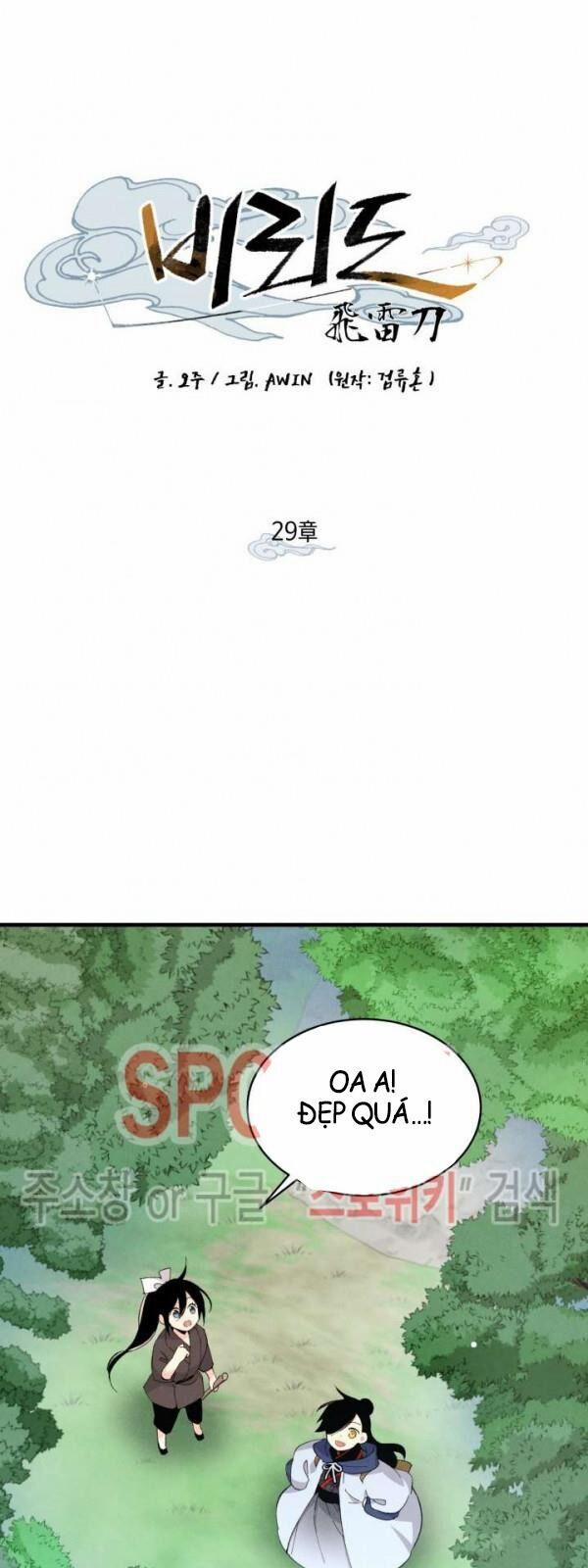 Phi Lôi Đao Thuật 29 trang 0