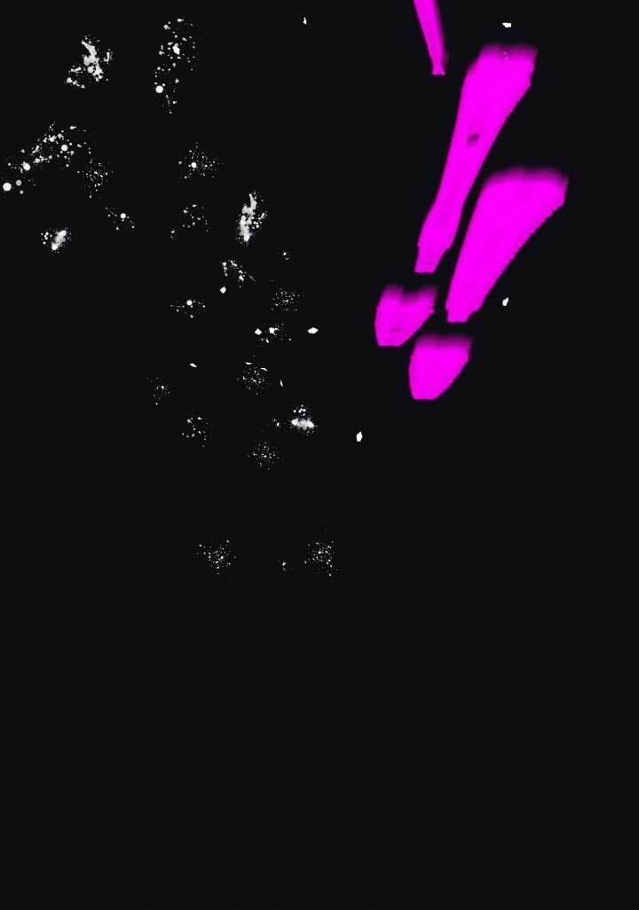 Phi Lôi Đạo 134 trang 52