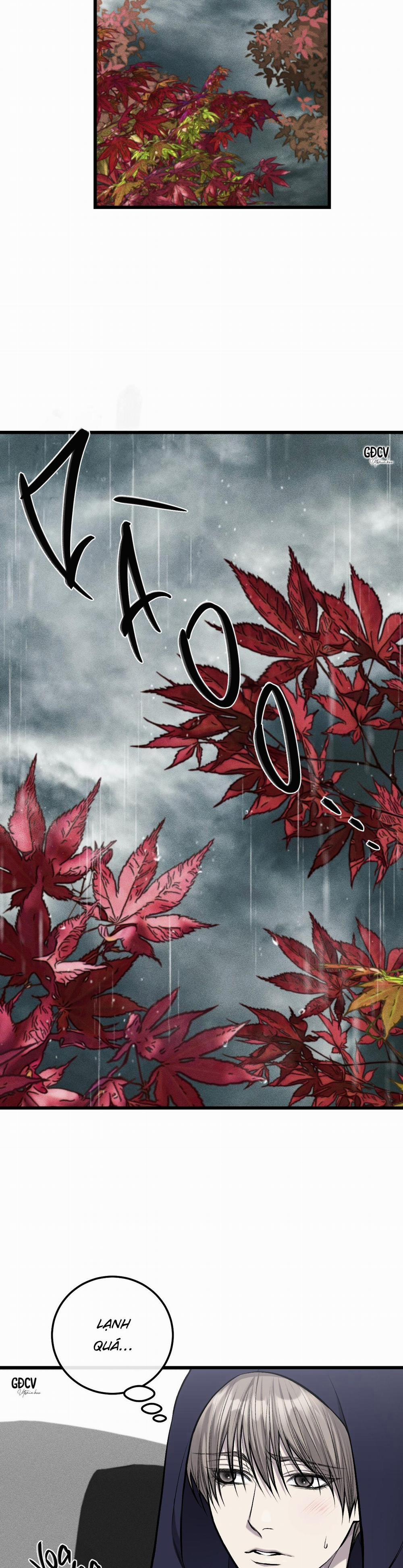 Phi Vụ Bẩn Thỉu 27 trang 8