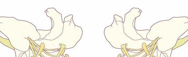 Phía Sau Em, Luôn Có Ta Bên Cạnh 36 trang 168