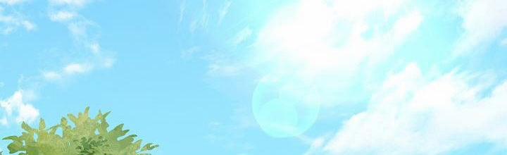 Phía Sau Em, Luôn Có Ta Bên Cạnh 36 trang 352