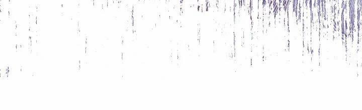 Phía Sau Em, Luôn Có Ta Bên Cạnh 36 trang 395