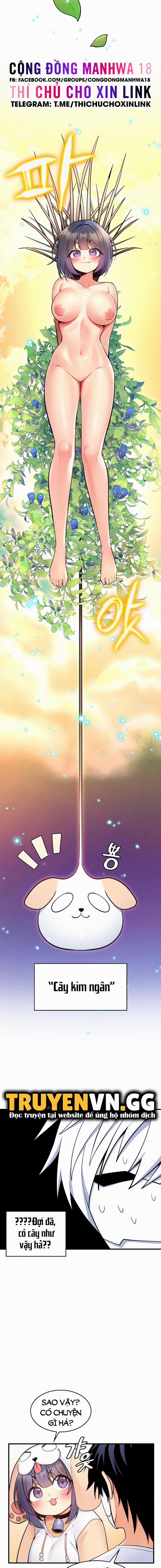 Phịch Cây Thế Giới 11 trang 8