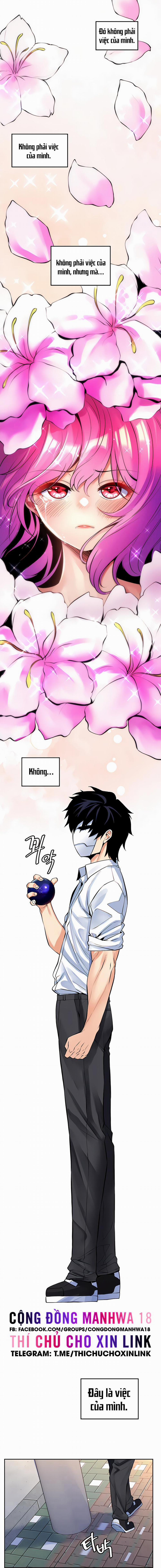 Phịch Cây Thế Giới 24 trang 6