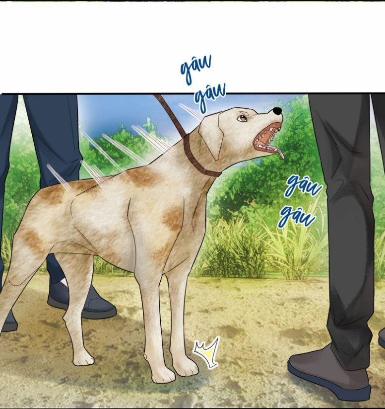 Phim Giả Làm Thật 13 trang 12