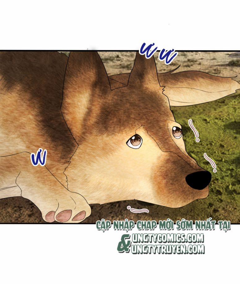 Phim Giả Làm Thật 13 trang 23