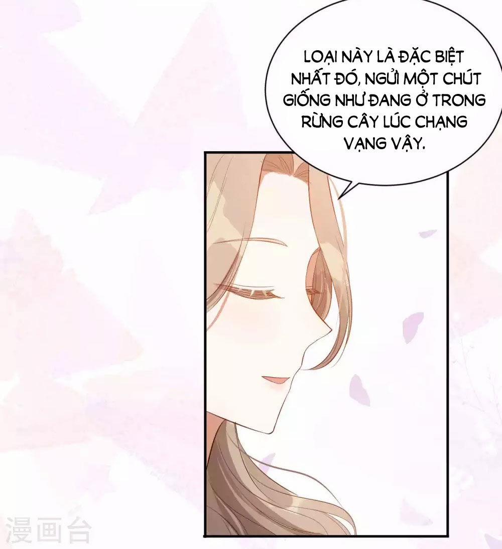 Phim Giả Làm Thật 62.1 trang 9