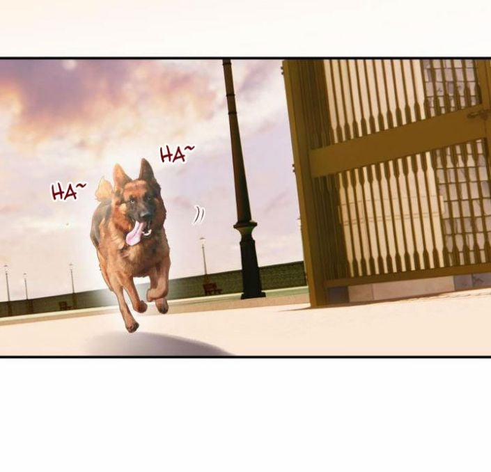 Phim Giả Làm Thật 8 trang 41