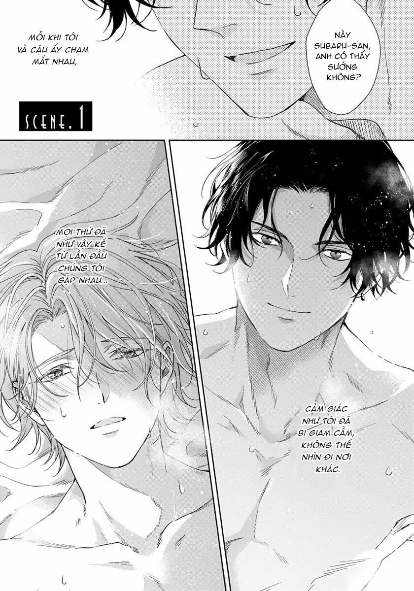 Phim Giả Tình Thật 1 trang 1