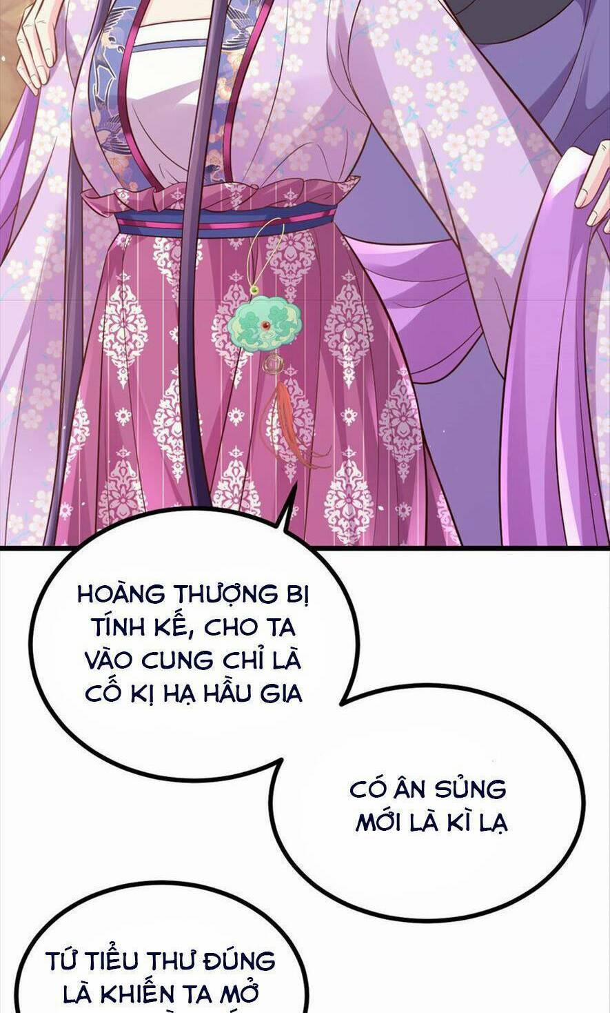 Phò Mã Hôm Nay Cũng Muốn Phản Công 55 trang 5