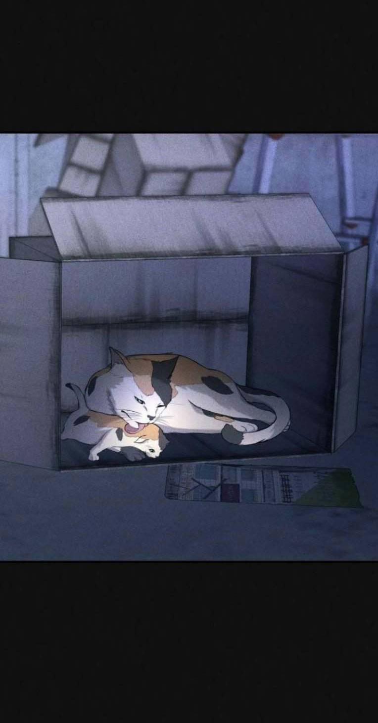 Phòng Kín 19 trang 2