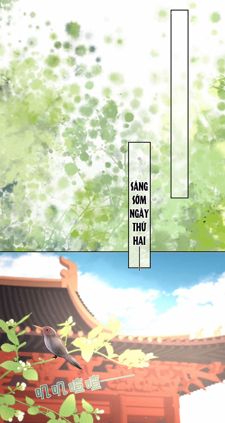 Phu Nhân Không Đoan Chính 33 trang 28