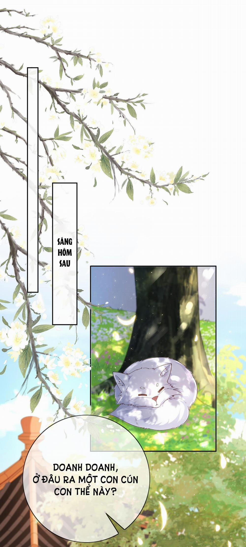 Phu Nhân Không Đoan Chính 36 trang 1