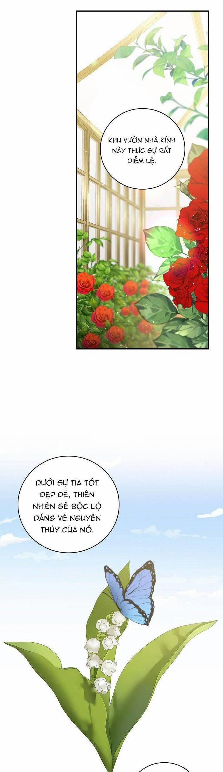 Phu Nhân Mong Manh Yếu Đuối Của Công Tước 101 trang 25