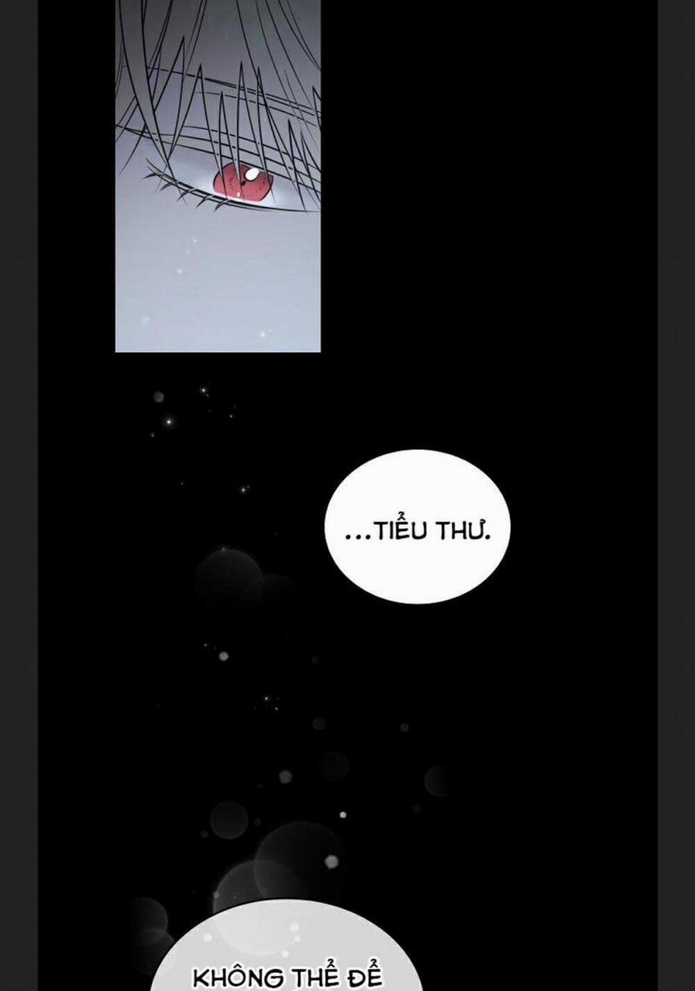 Phu Nhân Mong Manh Yếu Đuối Của Công Tước 3.2 trang 19