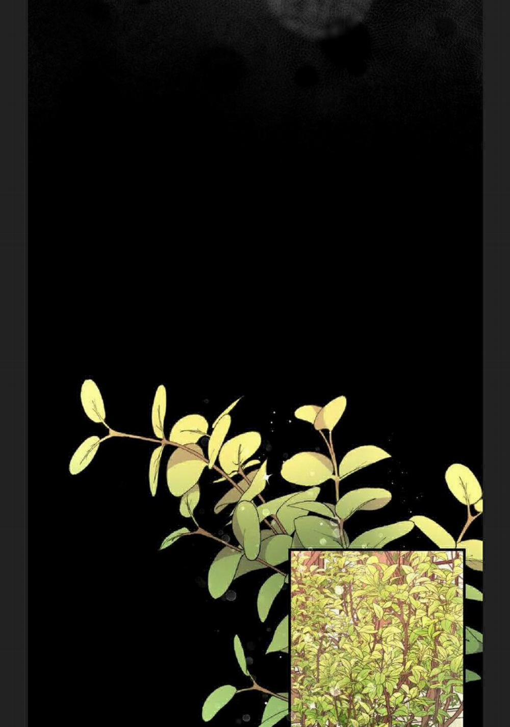 Phu Nhân Mong Manh Yếu Đuối Của Công Tước 4.3 trang 8