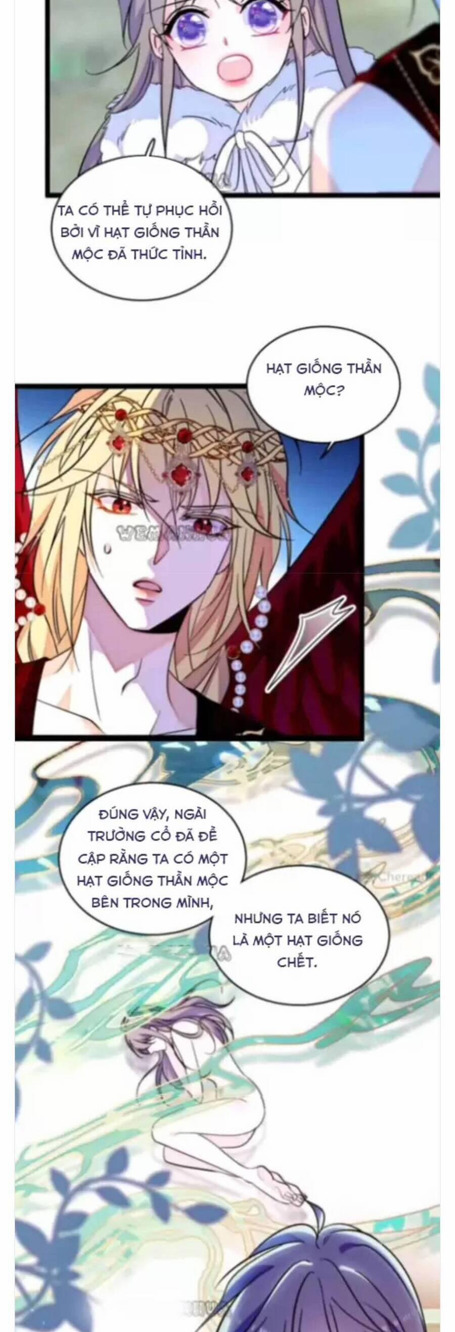 Phu Nhân , Thân Phận Thật Của Người Sắp Lộ Rồi 336 trang 11