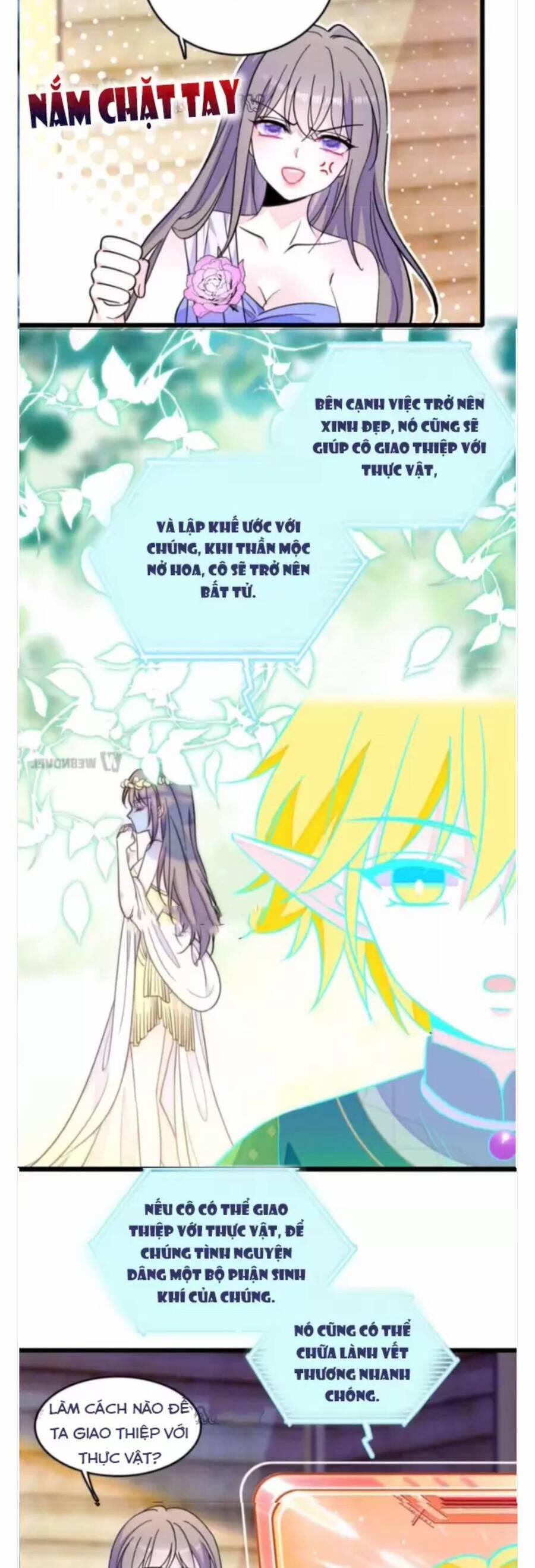 Phu Nhân , Thân Phận Thật Của Người Sắp Lộ Rồi 338 trang 3