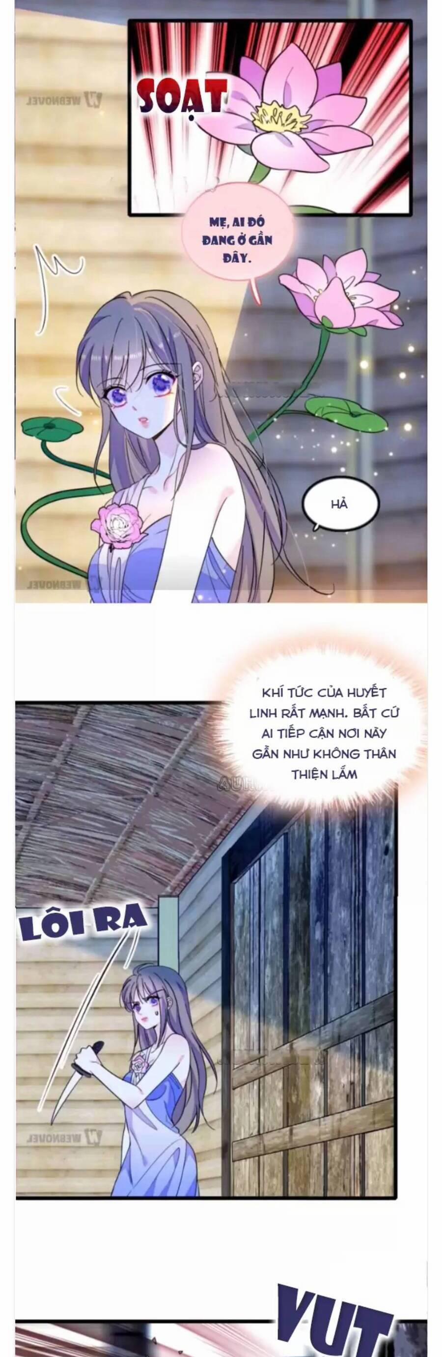 Phu Nhân , Thân Phận Thật Của Người Sắp Lộ Rồi 338 trang 7